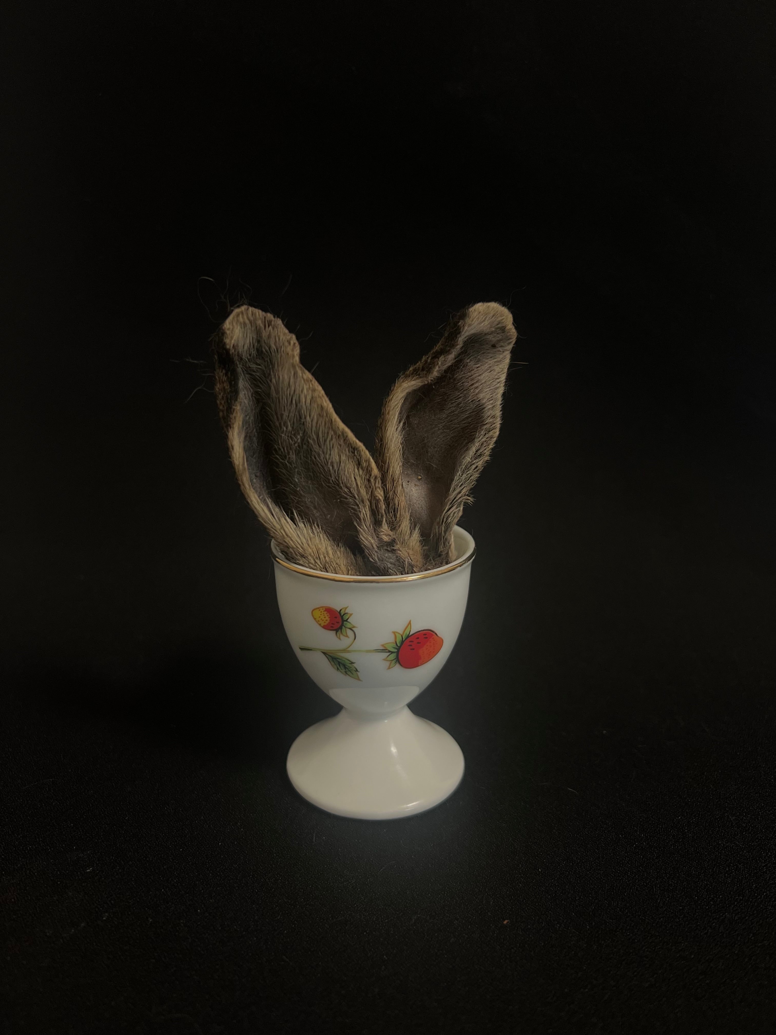 Furry Wild Rabbit Ears