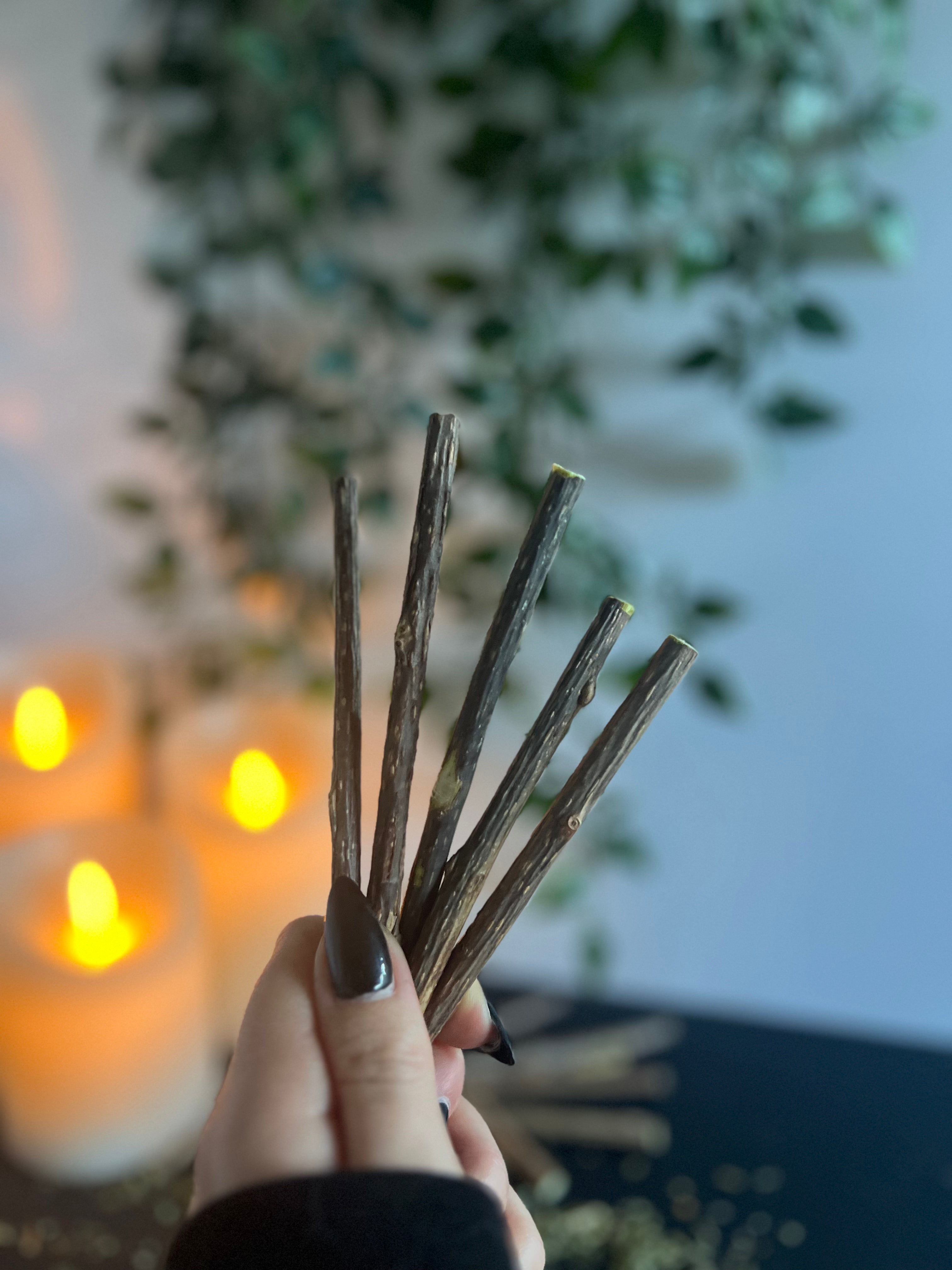 Hand holding five Silvervine sticks with blurred candles and greenery in the background