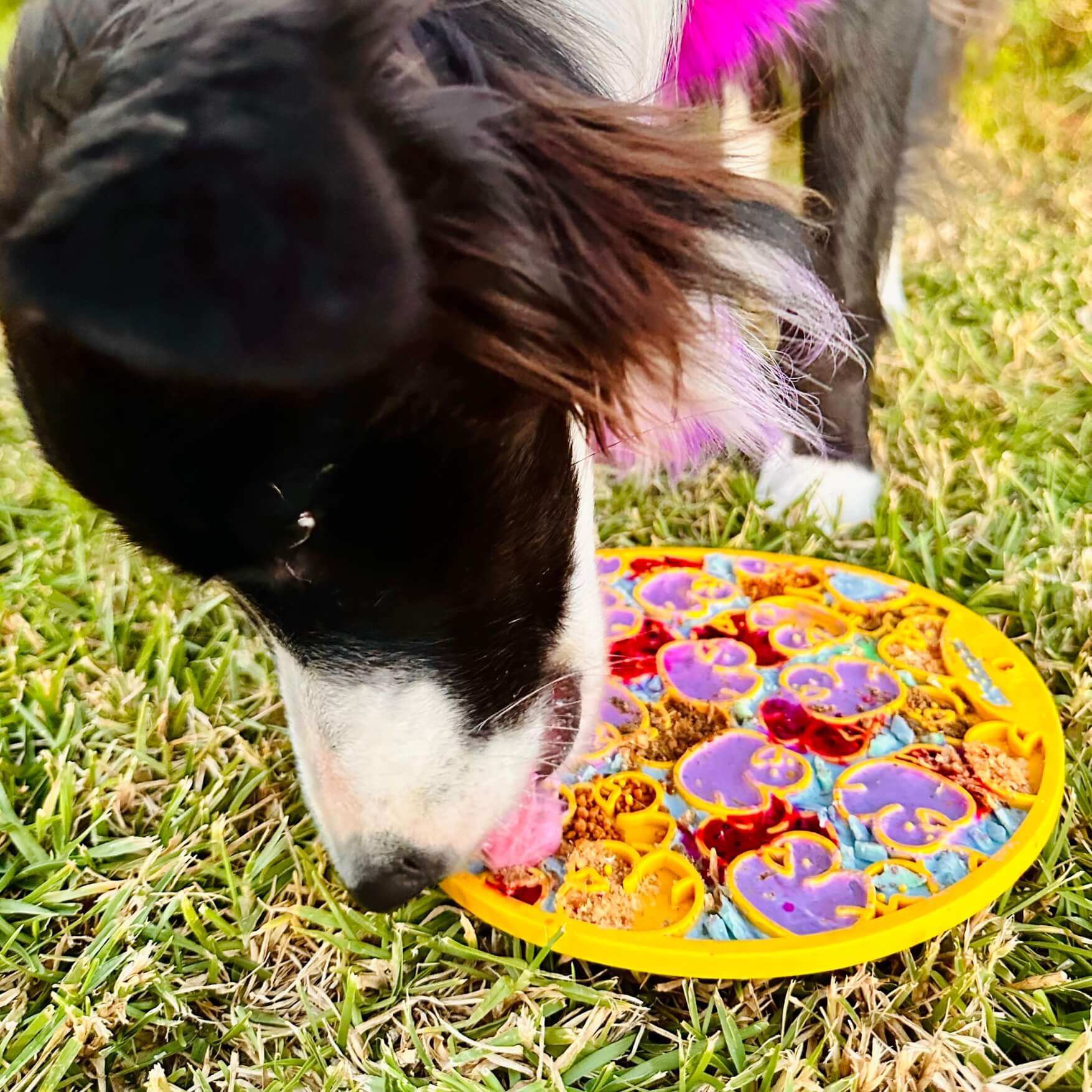 Sodapup Enrichment Lick eMat- Ducky