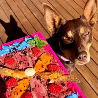 Sodapup Enrichment Lick eMat- Flowers