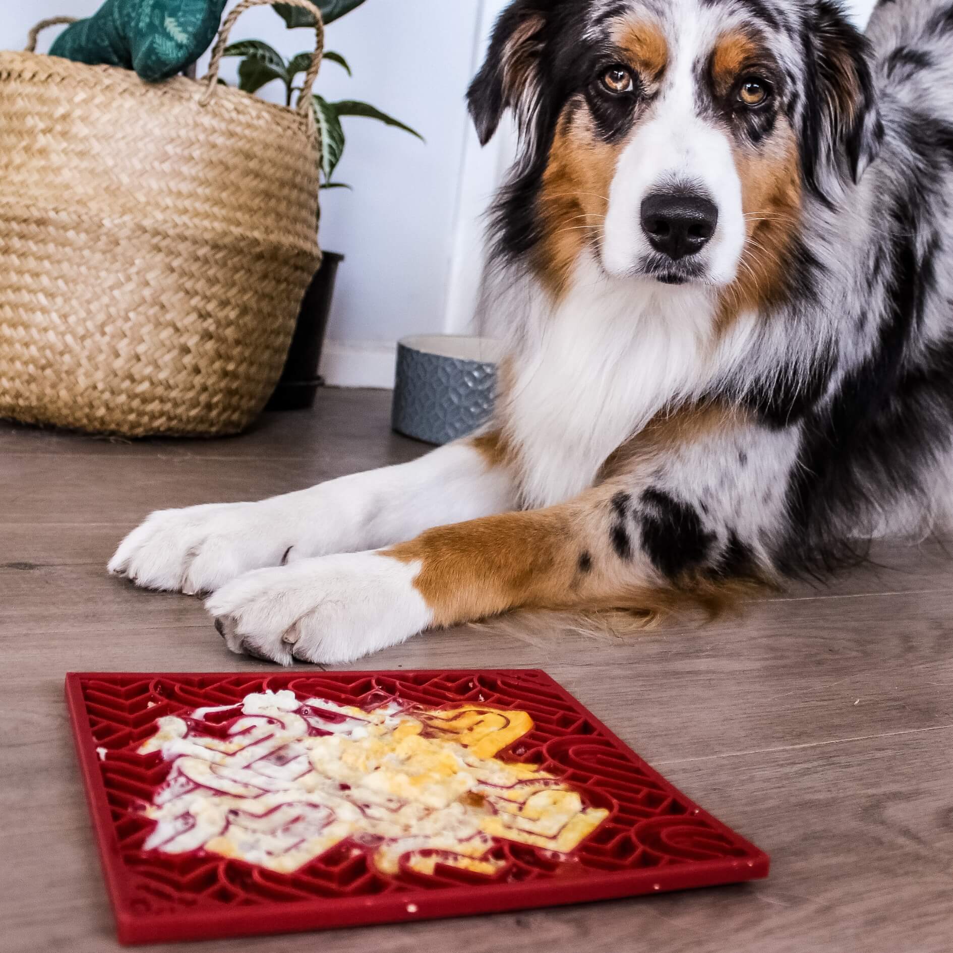 Sodapup Enrichment Lick eMat - Love Hearts