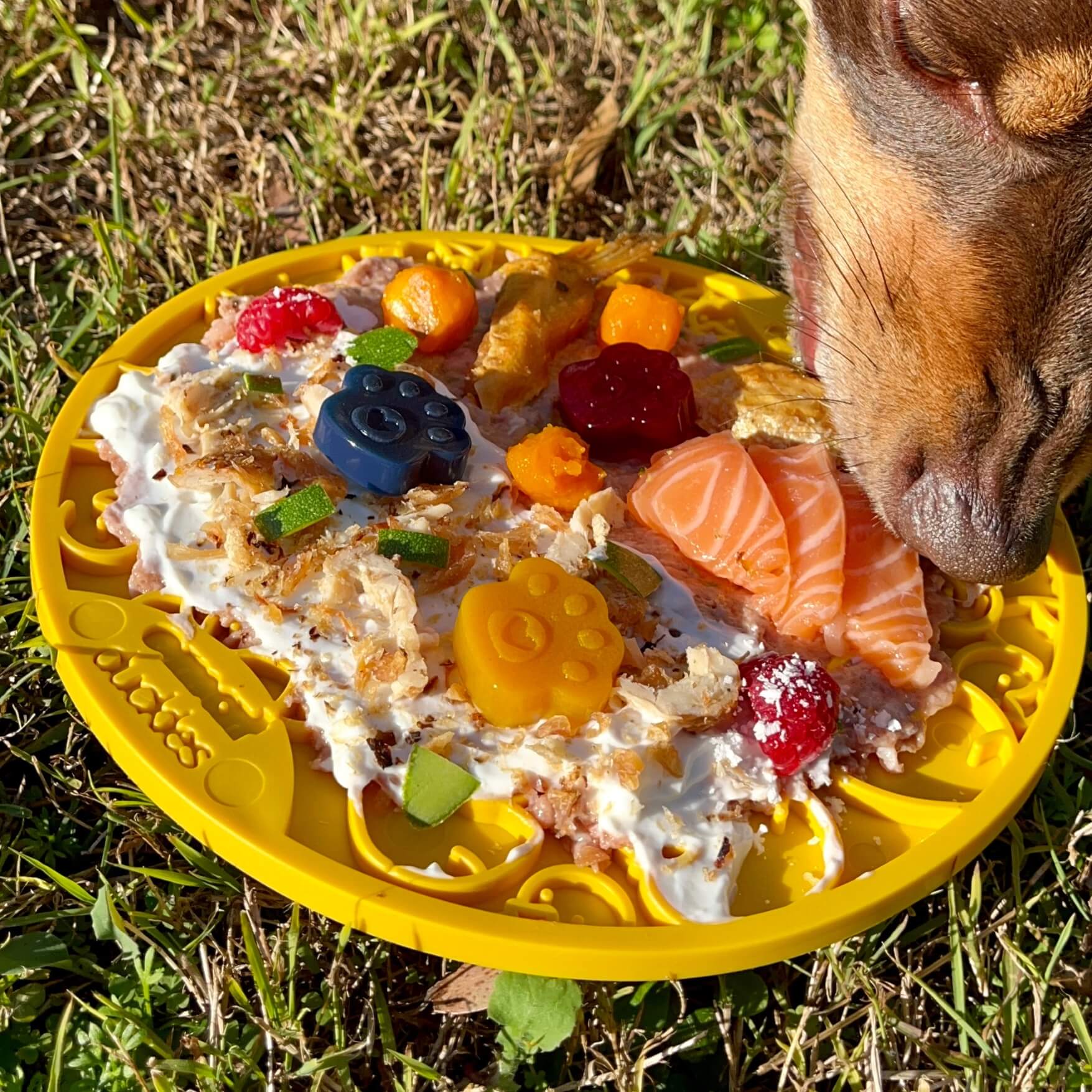 Sodapup Enrichment Lick eMat- Ducky