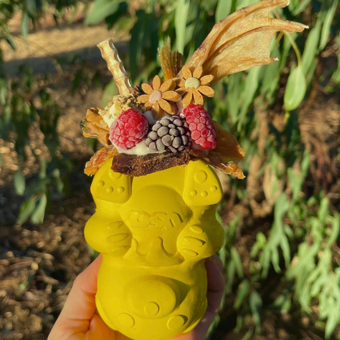 Sodapup Honey Bear Treat Dispenser Toy