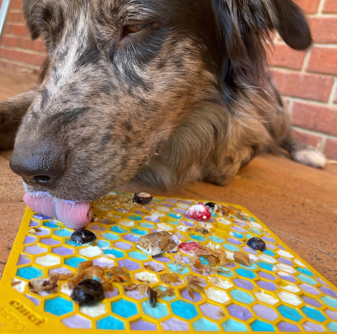 Sodapup Enrichment Lick eMat - Honeycomb