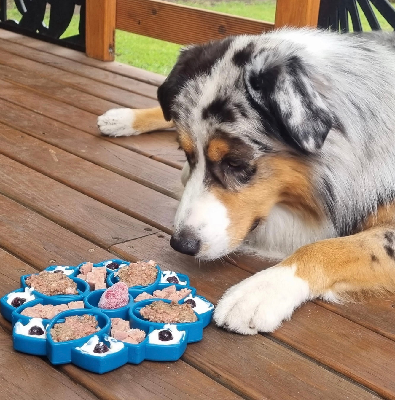 Sodapup Blue Mandala Slow Feeder eTray