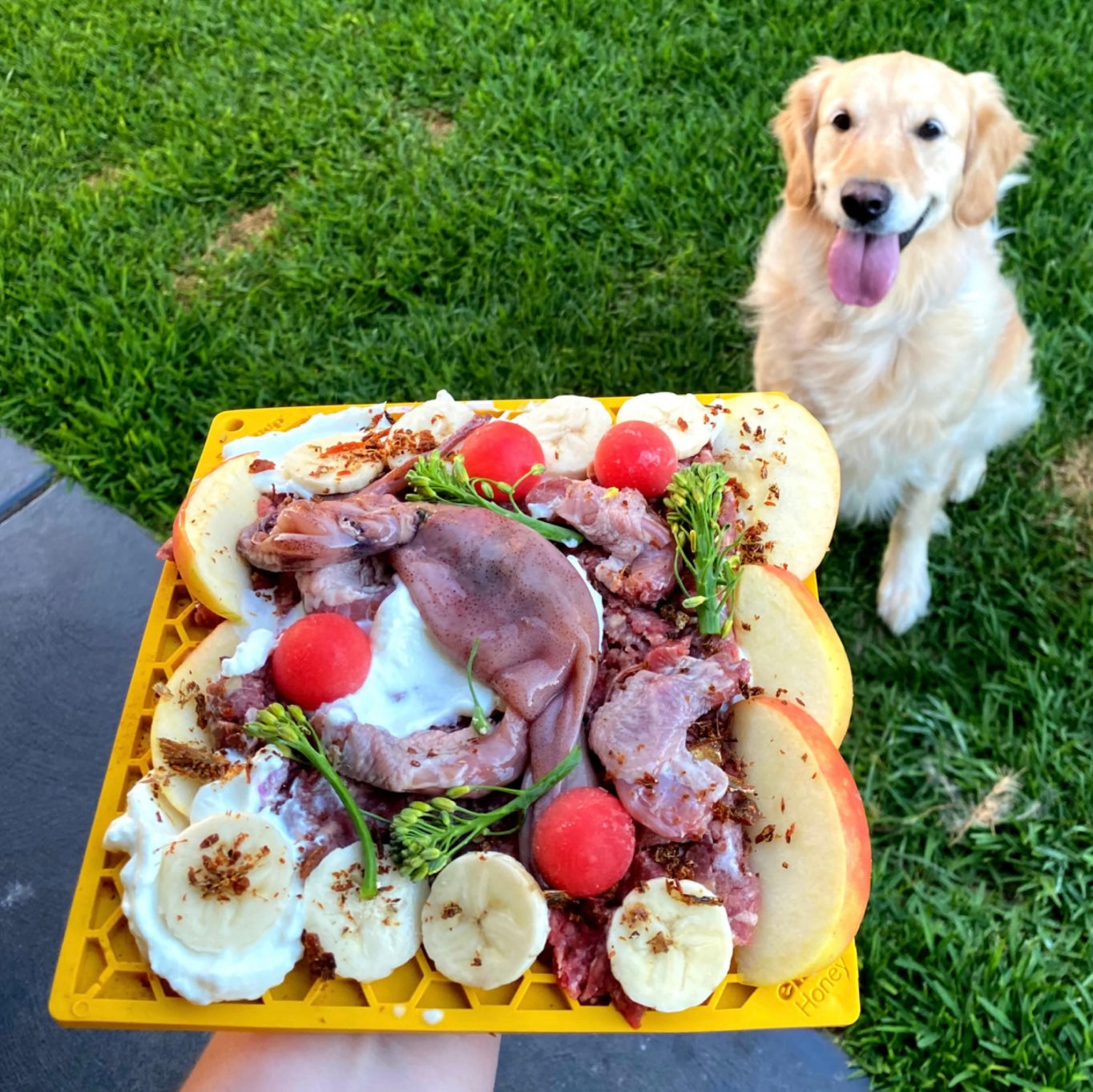 Sodapup Enrichment Lick eMat - Honeycomb