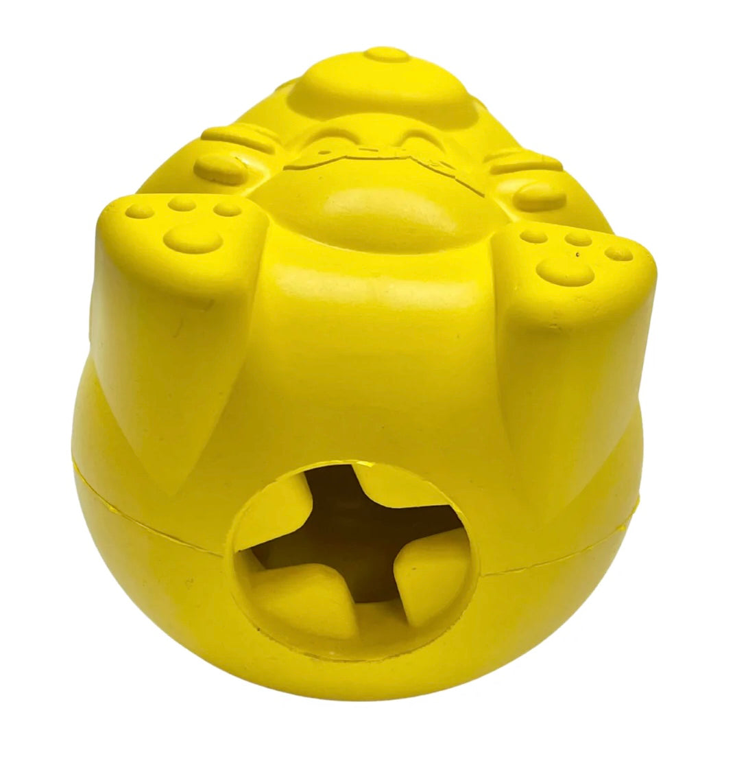 Sodapup Honey Bear Treat Dispenser Toy