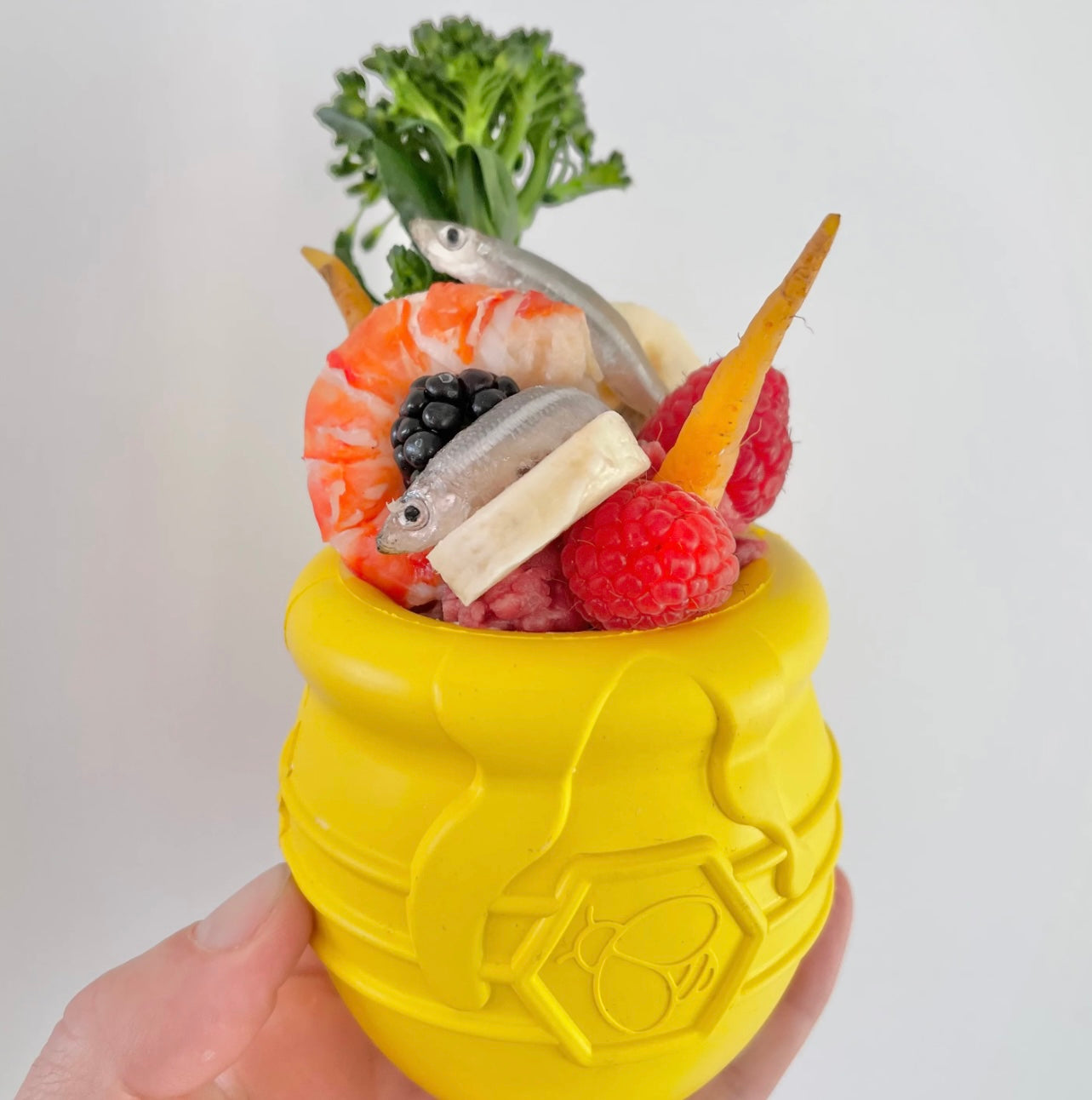 Sodapup Honey Pot Treat Dispenser Toy