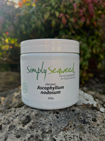 Simply Seaweed Dental Supplement