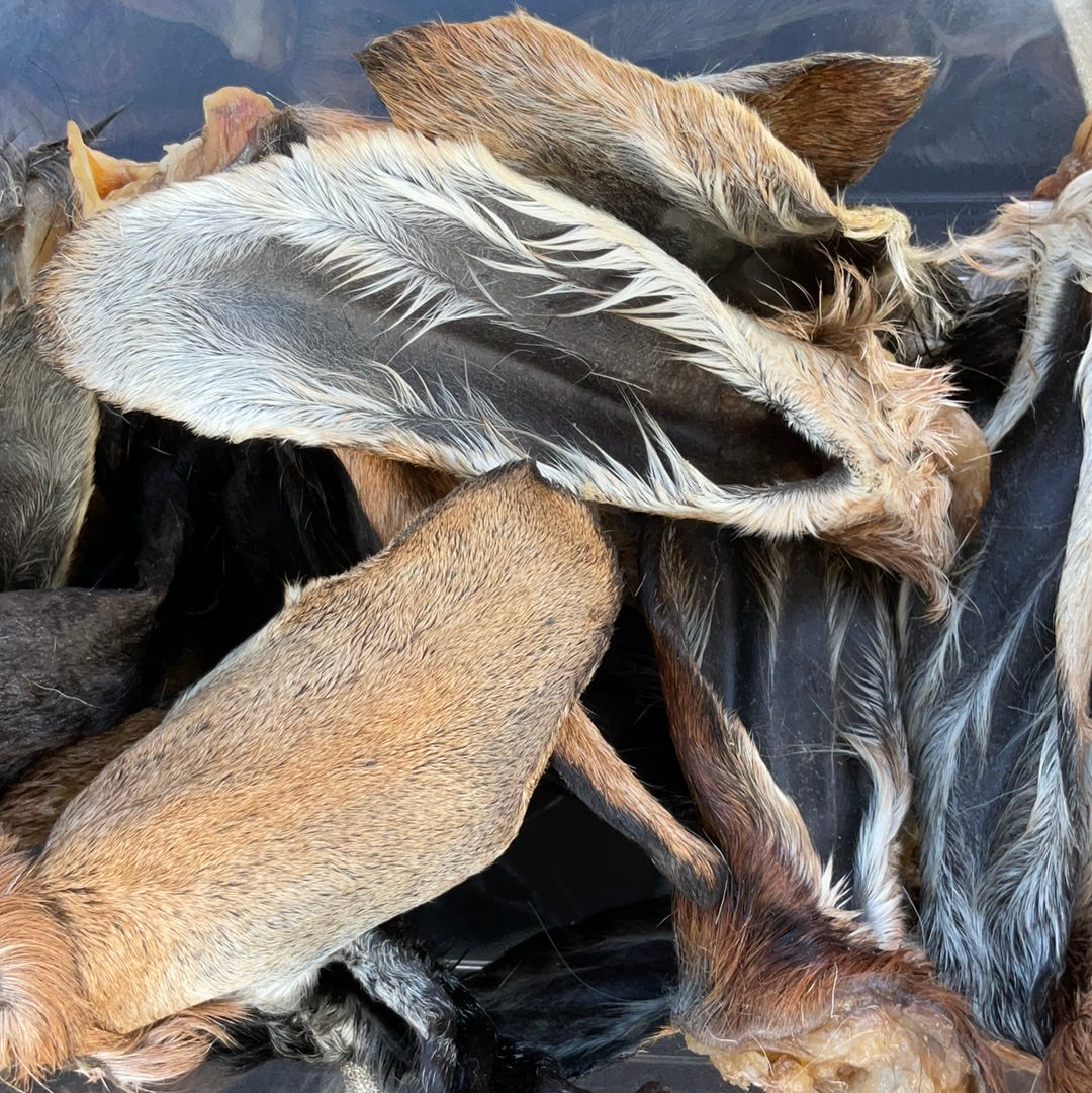 Goat Ear (single)