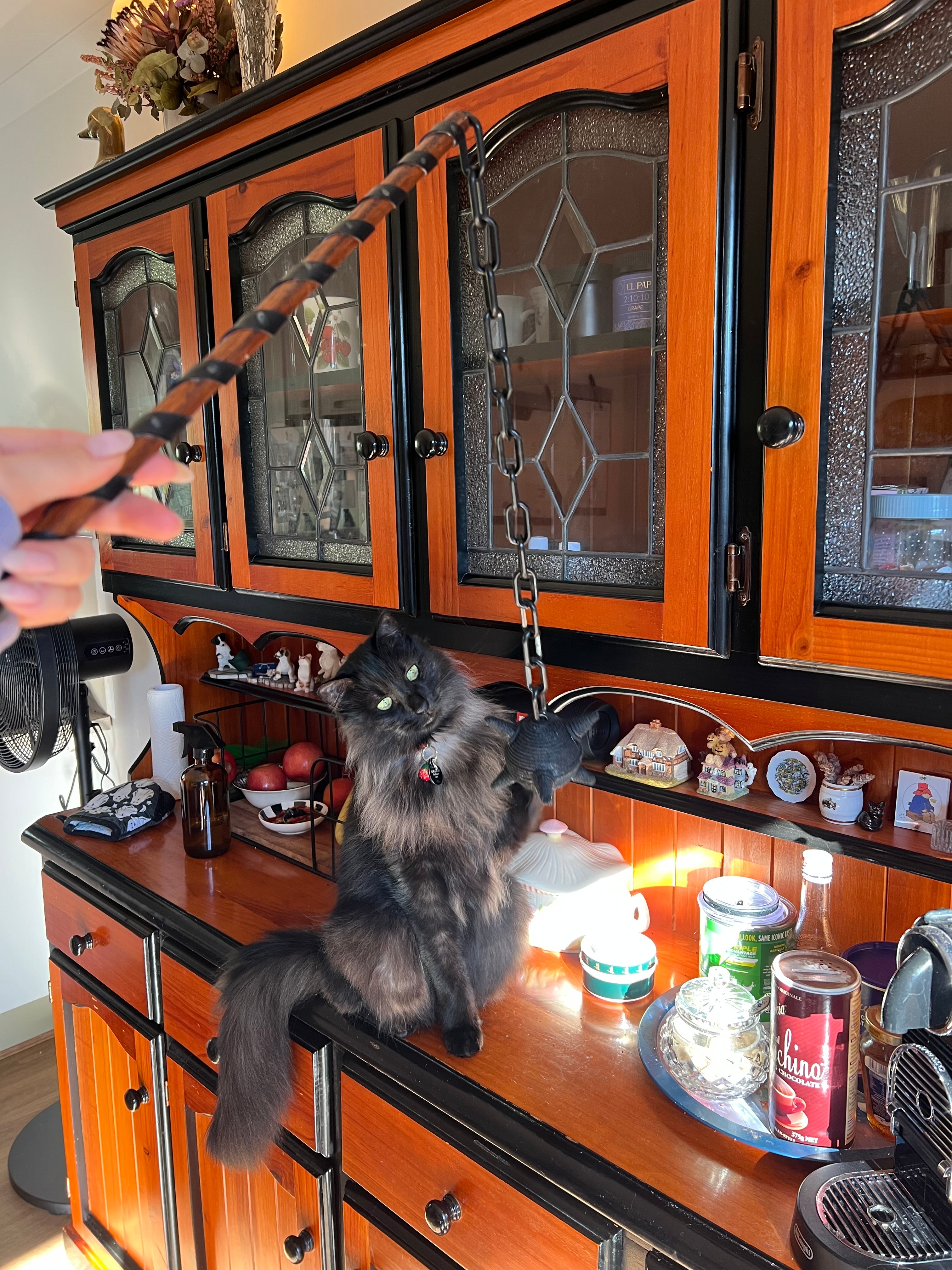 Kitty Flail - Cat Wand