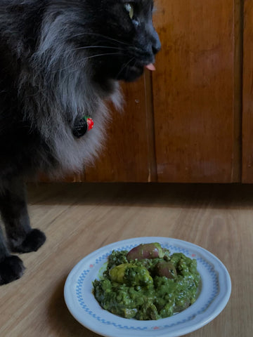 MCR / My Cat’s Raw(r) - Balanced Meal for Felines