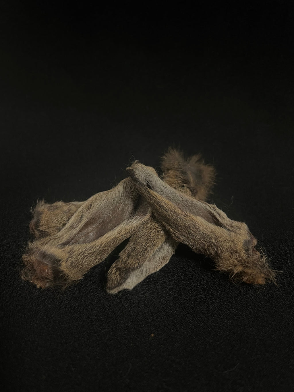 Furry Wild Rabbit Ears
