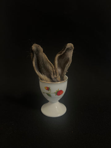 Furry Wild Rabbit Ears