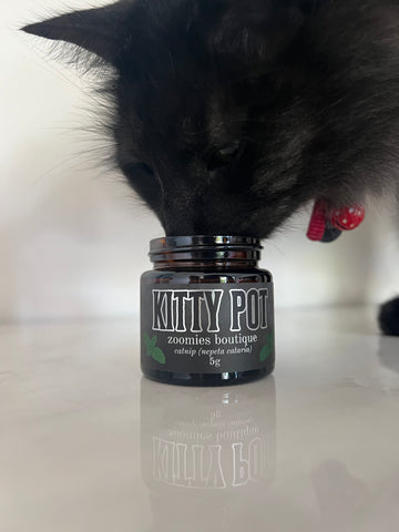 Kitty Pot - Premium Dried Catnip