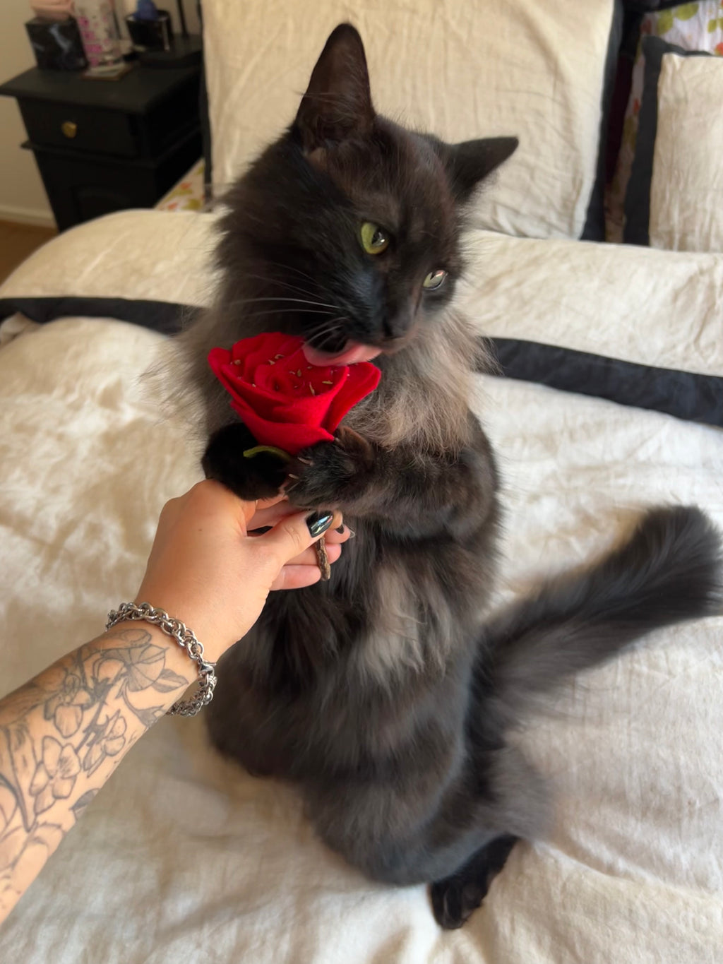 Enrichment Rose
