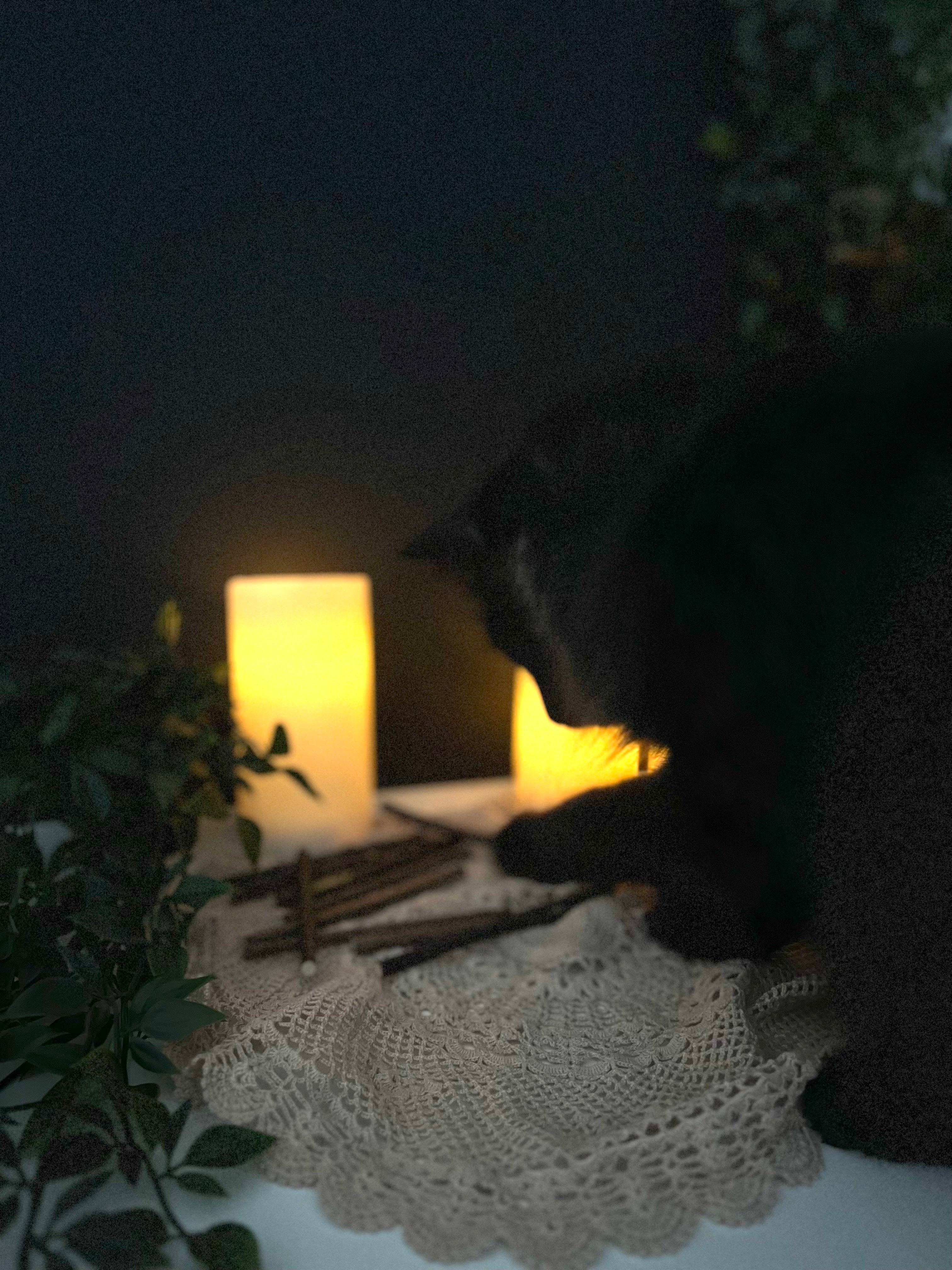 Cat sitting on a lace doily with candles in the background playing with Silvervine sticks