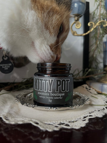 Kitty Pot - Premium Dried Catnip