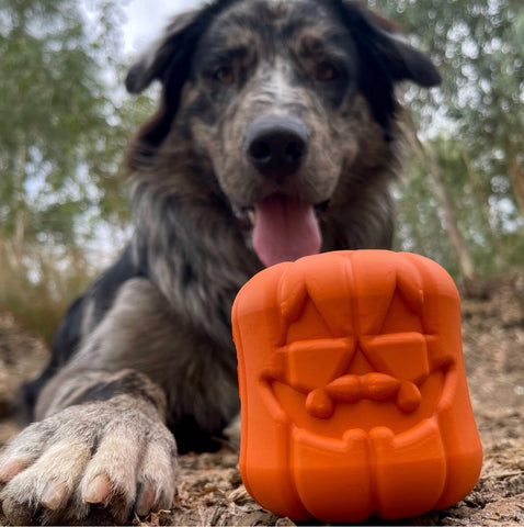 Pumpkin Jack O’ Lantern Enrichment Toy