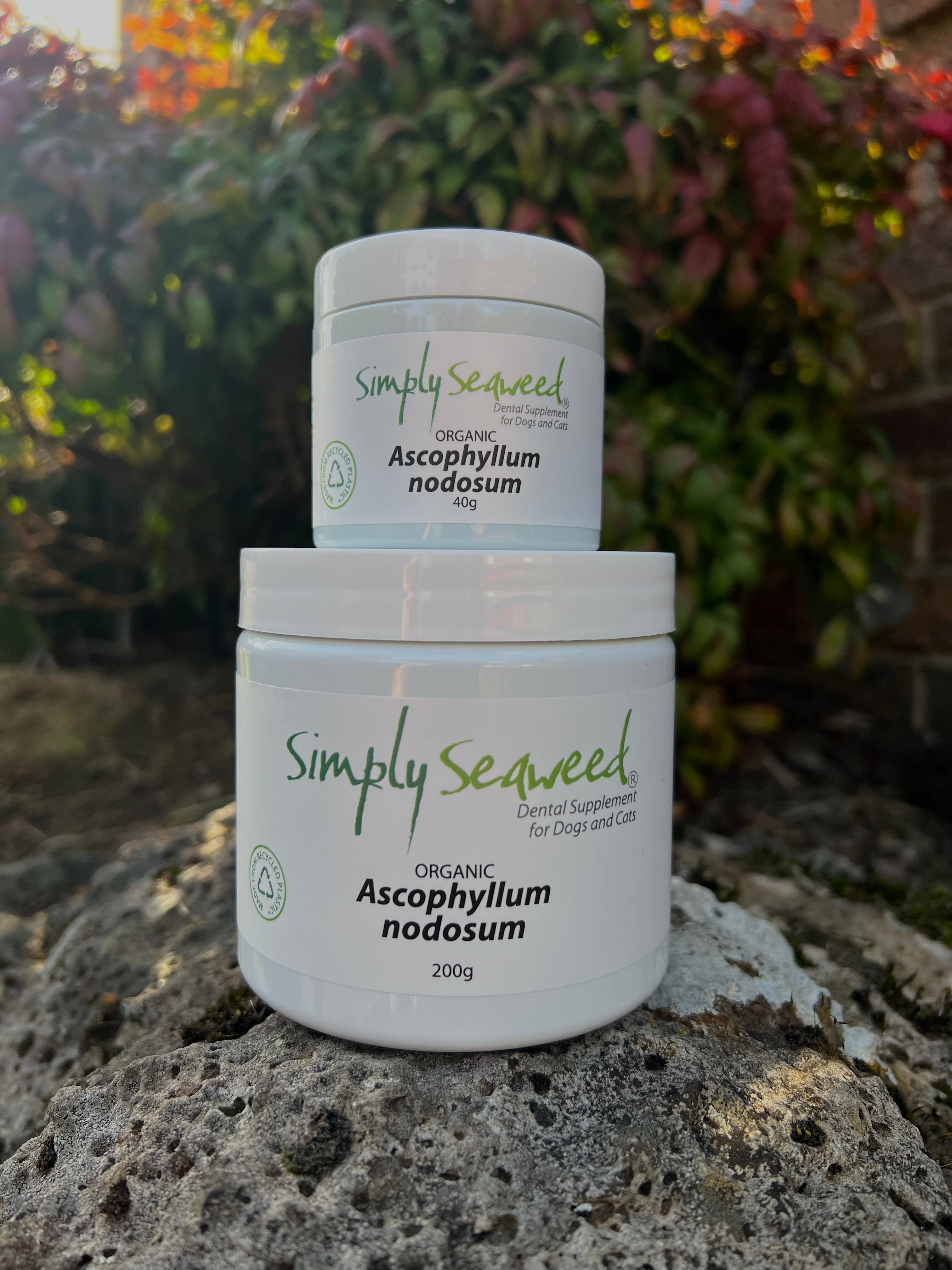 Simply Seaweed Dental Supplement