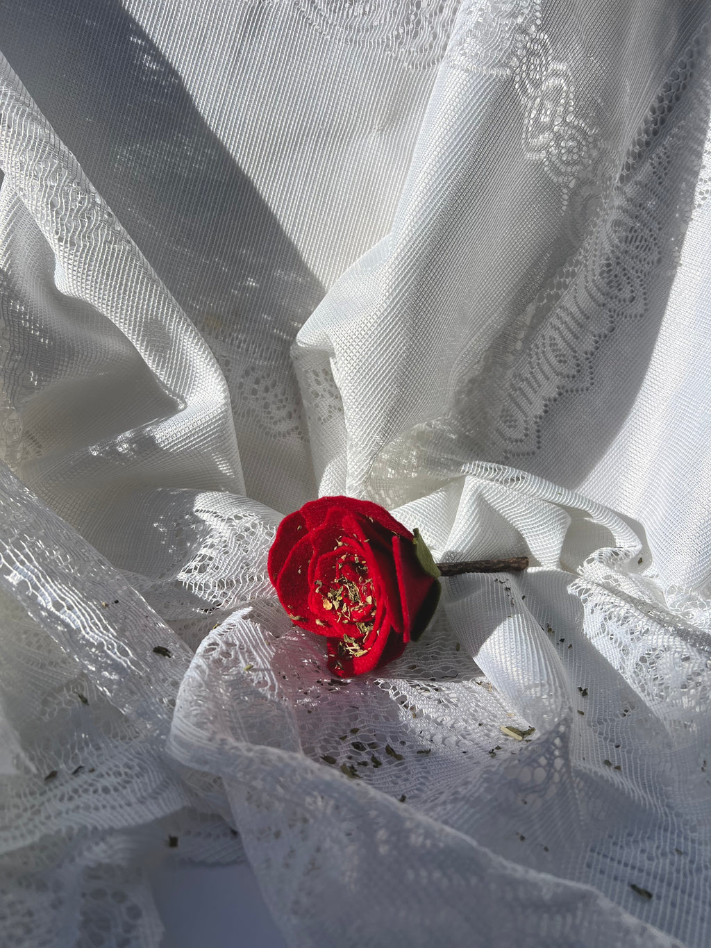 Enrichment Rose
