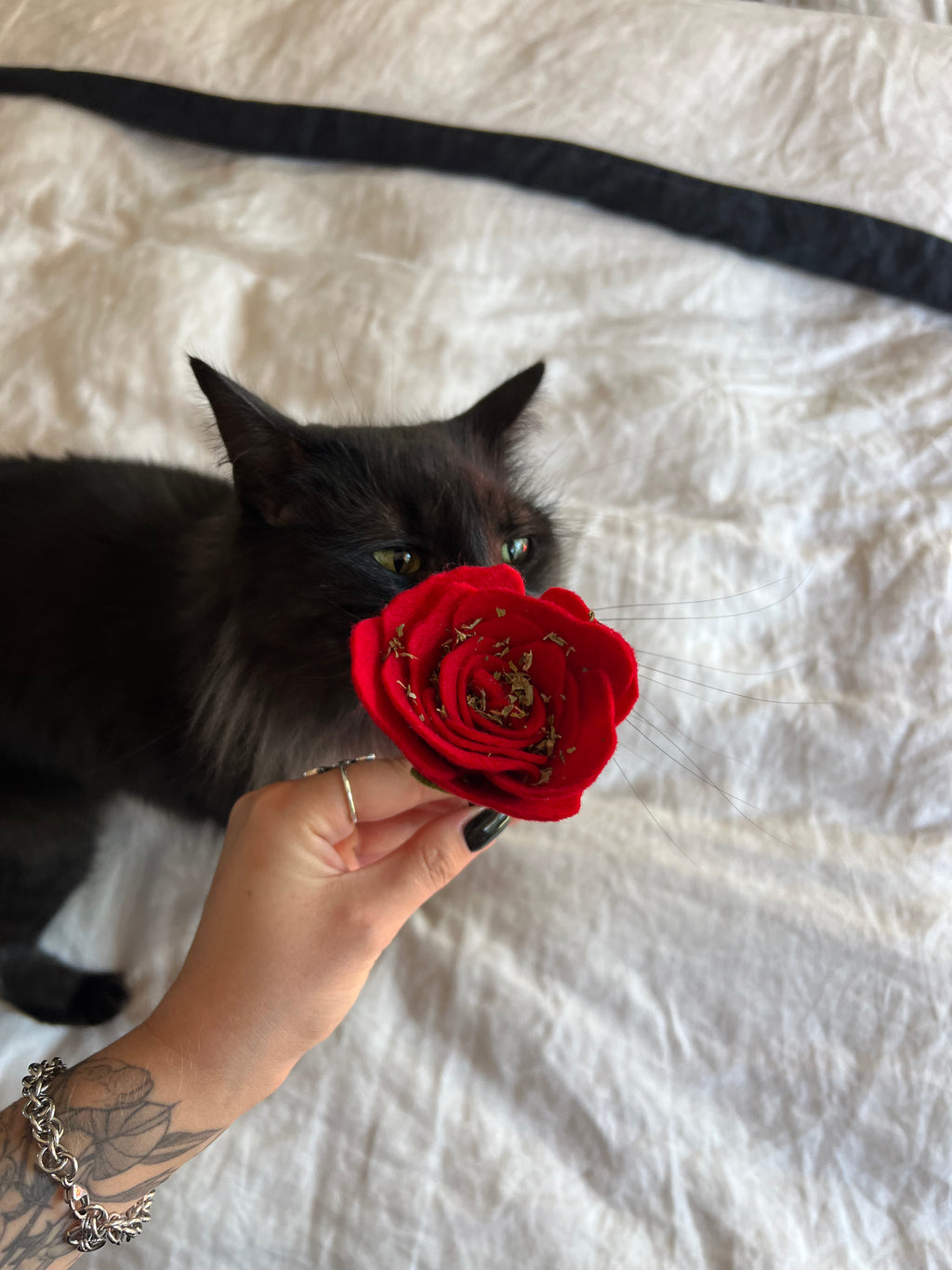 Enrichment Rose
