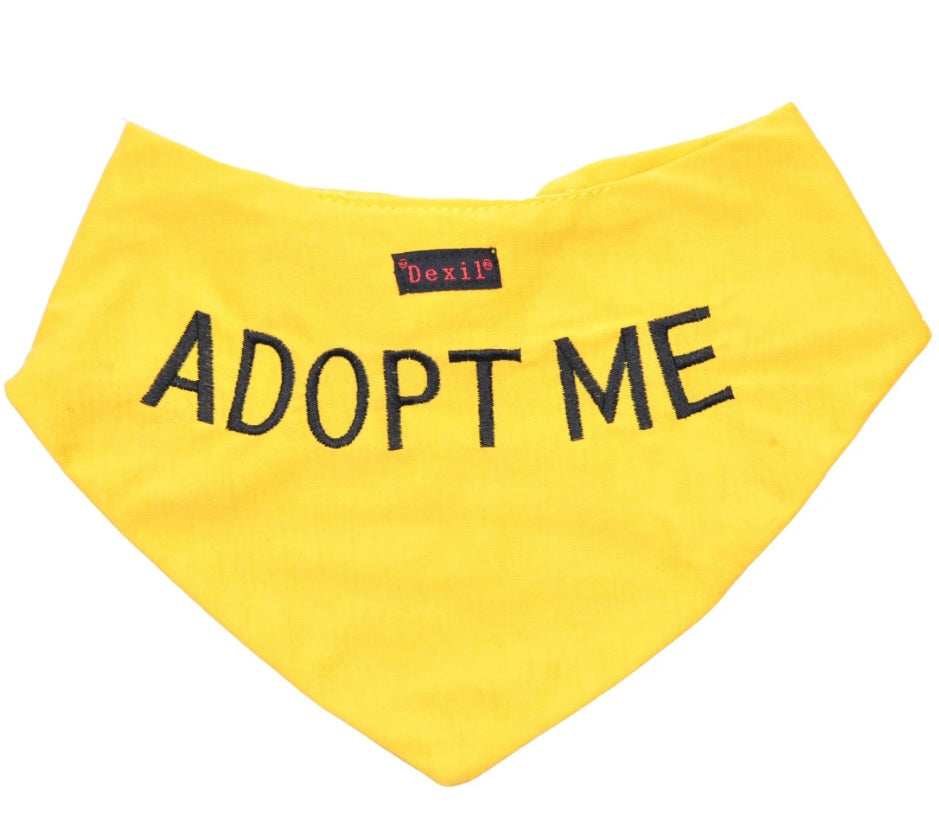 Friendly Dog Collars - Bandana