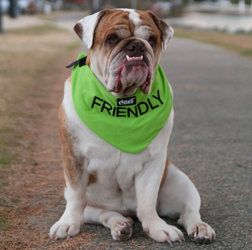 Friendly Dog Collars - Bandana