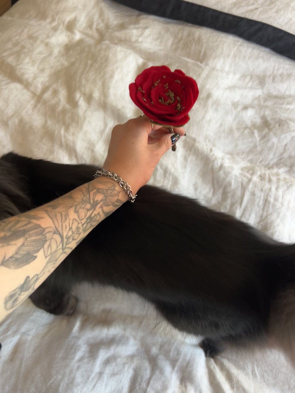 Enrichment Rose