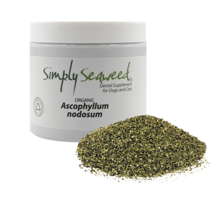 Simply Seaweed Dental Supplement 40g