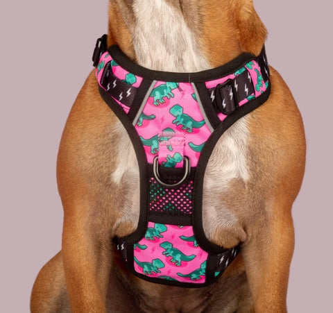 Big And Little Dogs All Rounder Harness - Princessasaurus