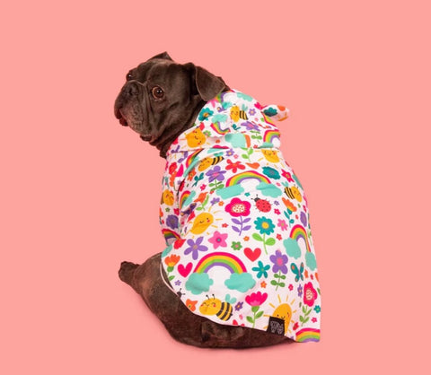 Big And Little Dogs Raincoat - Follow The Rainbow