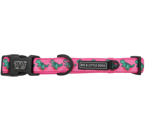 Big And Little Dogs Collar & Bow Tie - Princessasaurus