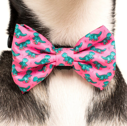 Big And Little Dogs Collar & Bow Tie - Princessasaurus