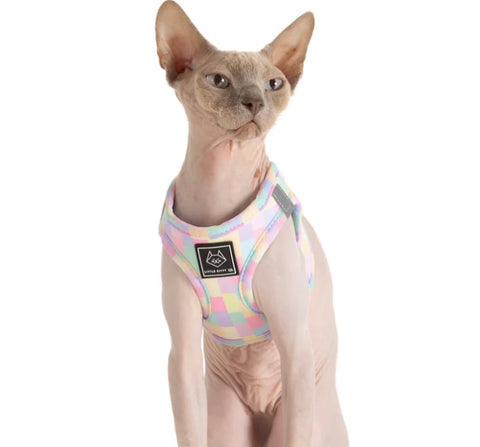 Little Kitty Co Harness - Gelato