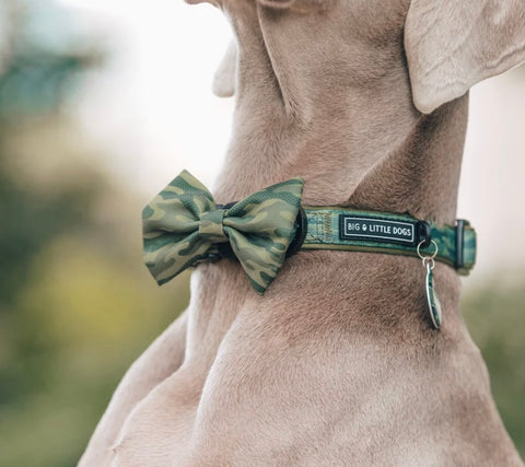 Big And Little Dogs Collar & Bow Tie - Camouflaged