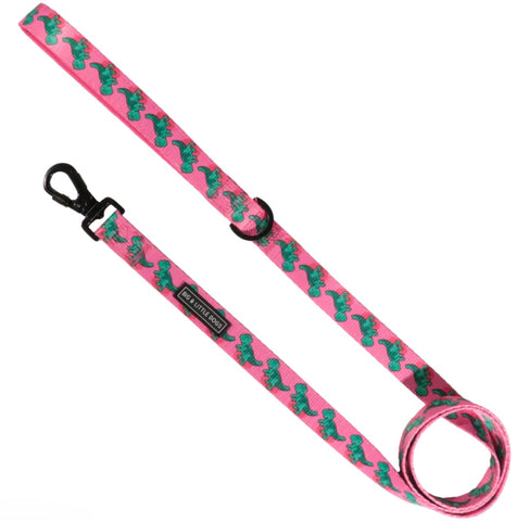 Big And Little Dogs Leash 1.5m - Princessasaurus