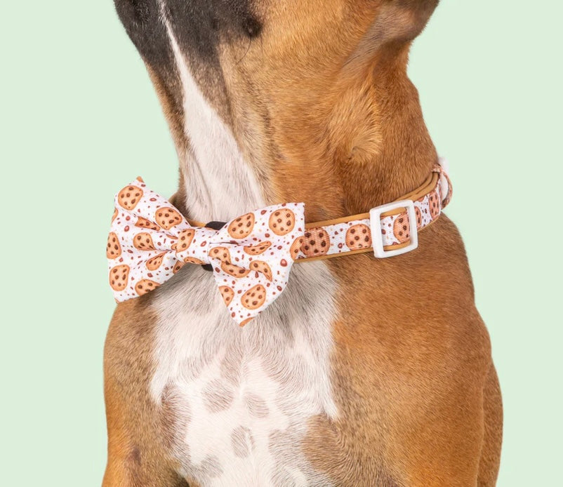 Big And Little Dogs Collar & Bow Tie - One Cute Cookie