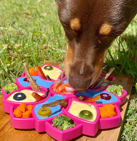 Sodapup Pink Mandala Slow Feeder eTray