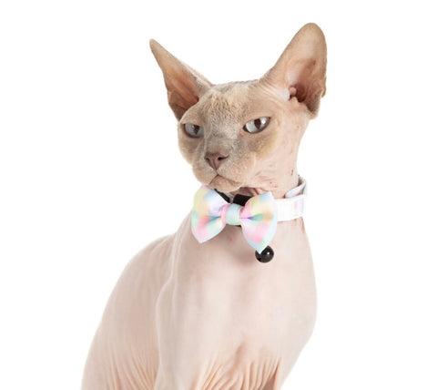 Little Kitty Co Collar & Bow Tie - Gelato