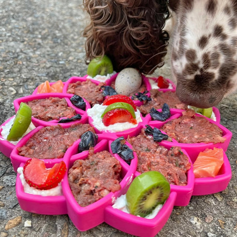 Sodapup Pink Mandala Slow Feeder eTray