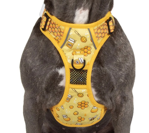 Big And Little Dogs All Rounder Harness - Bee Having