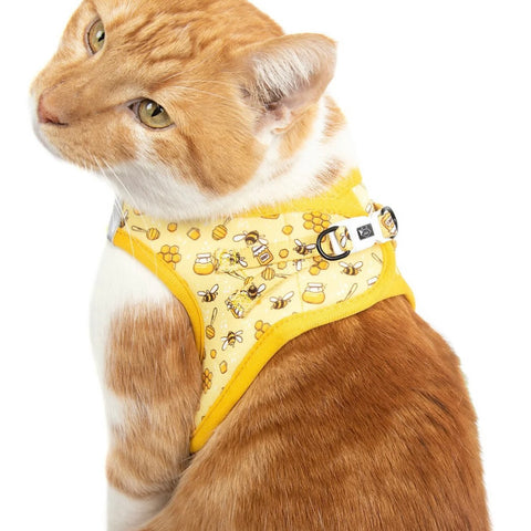 Little Kitty Co Harness - Bee Hiving