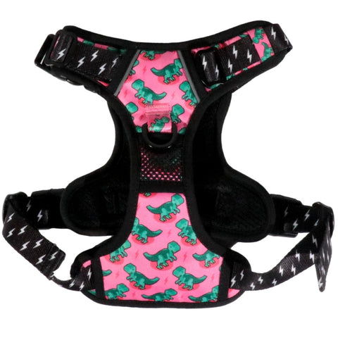 Big And Little Dogs All Rounder Harness - Princessasaurus