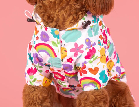 Big And Little Dogs Raincoat - Follow The Rainbow