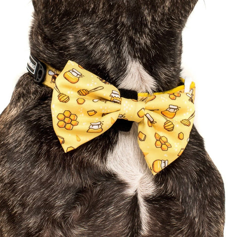 Big And Little Dogs Collar & Bow Tie - Bee Hiving