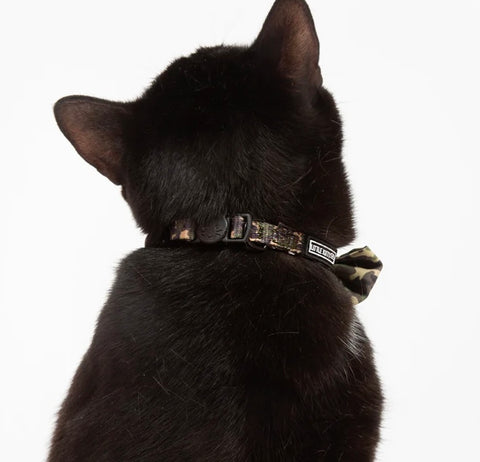 Little Kitty Co Collar & Bow Tie - Cool Cat Camo