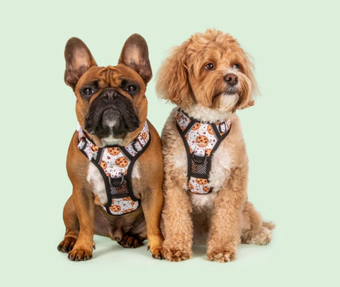 Big And Little Dogs All Rounder Harness - One Cute Cookie